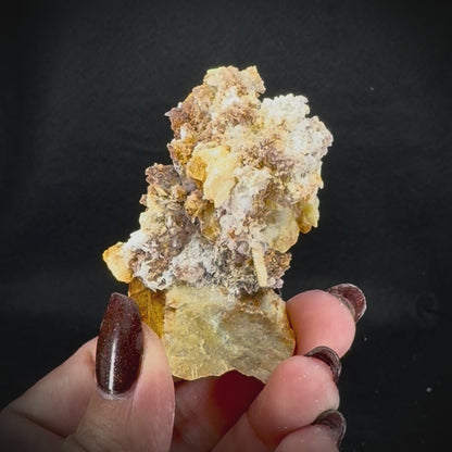 Creedite