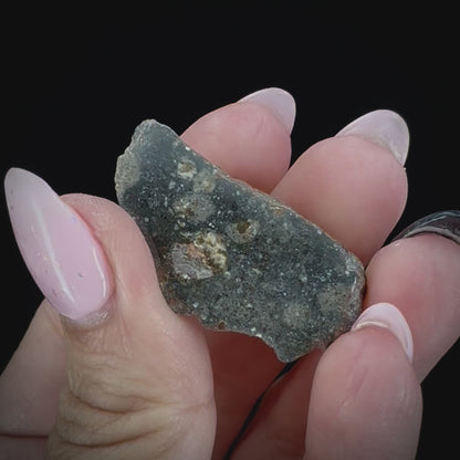 Meteorite - NWA 12230 - Polymict