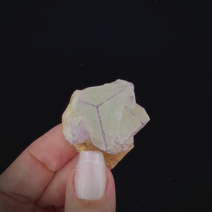 Fluorite QR
