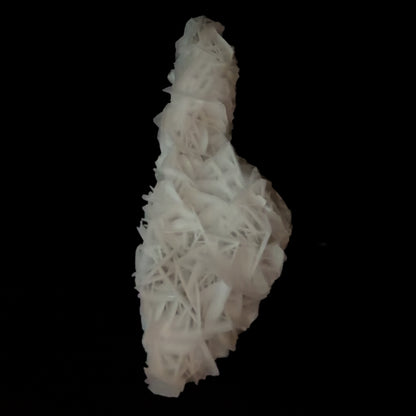 Rose Calcite