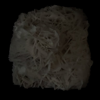 Rose Calcite