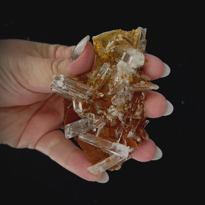 Selenite