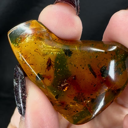 Amber w/ Insect Inclusions
