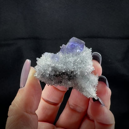 Tanzanite Fluorite