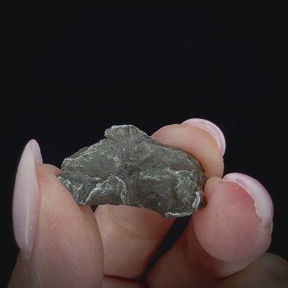 Meteorite - Sikhote-Alin - Octahedrite