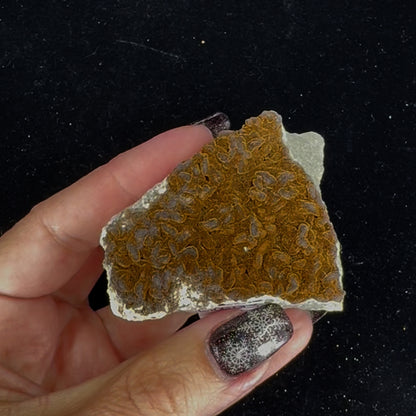 Goethite
