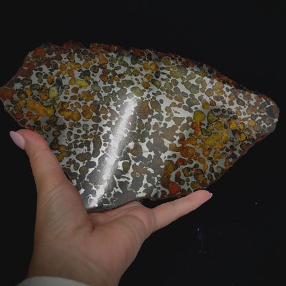 Meteorite - Sericho - Iron Pallasite