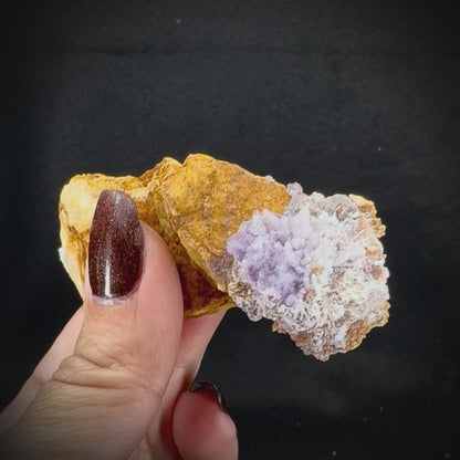 Creedite