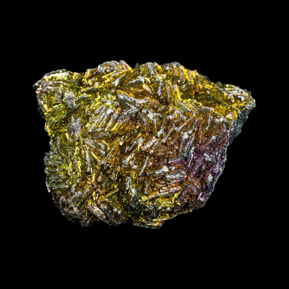 Rainbow Pyrite – Carolina Aquatics