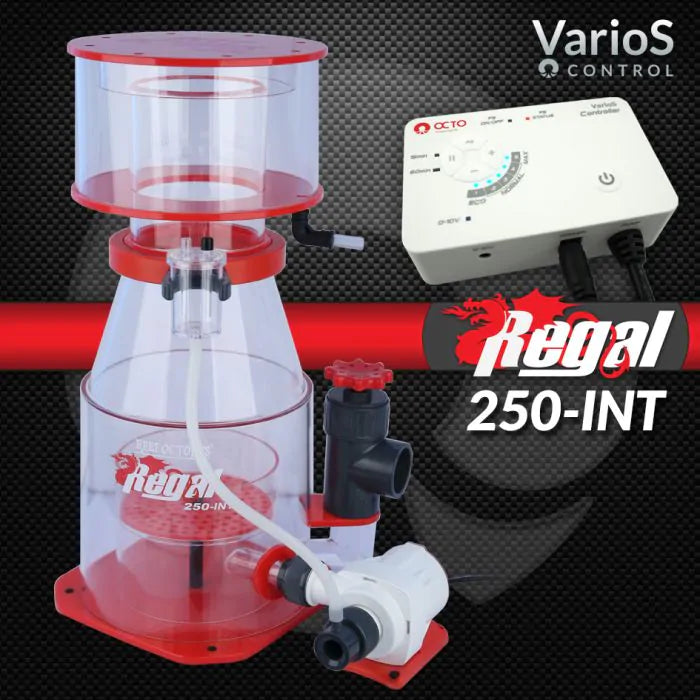 REGAL INTERNAL SKIMMERS WITH VARIOS PUMP