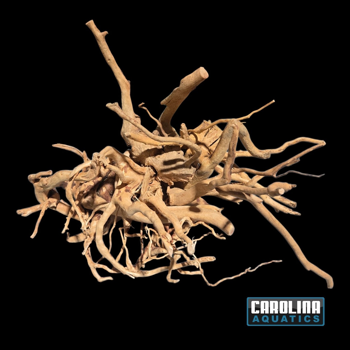 Driftwood - Carolina Spider Wood