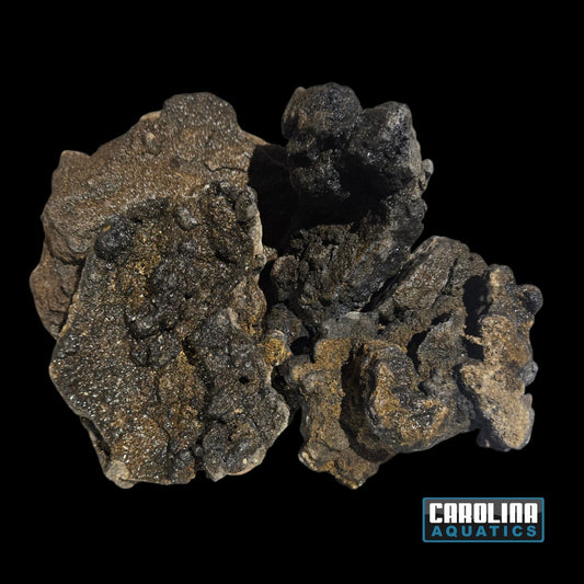 Stone - Magic Crystal