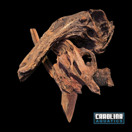 Driftwood (Similar to Malaysian)