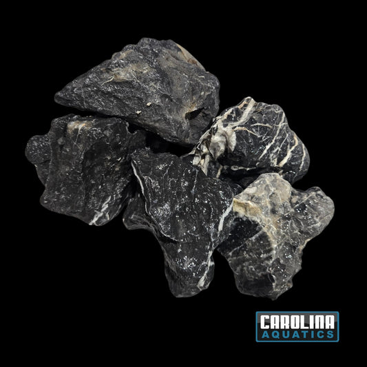 Stone - Black Seiryu