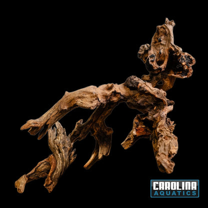 Driftwood - Malaysian