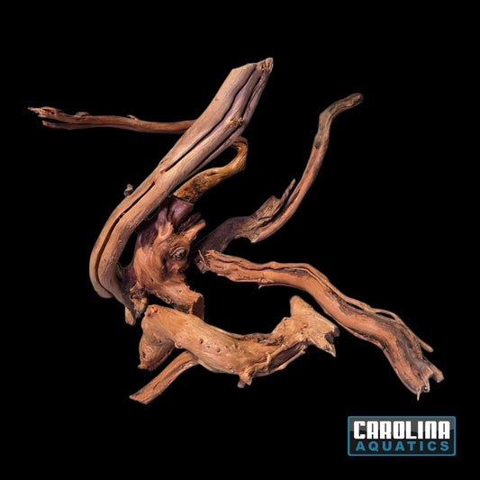 Driftwood - Azalea Branch