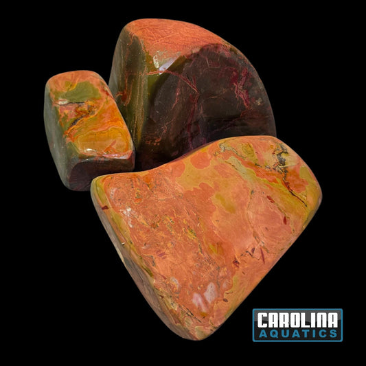 Stone - Freak Stone