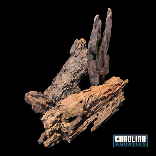 Driftwood - Shrimp Wood