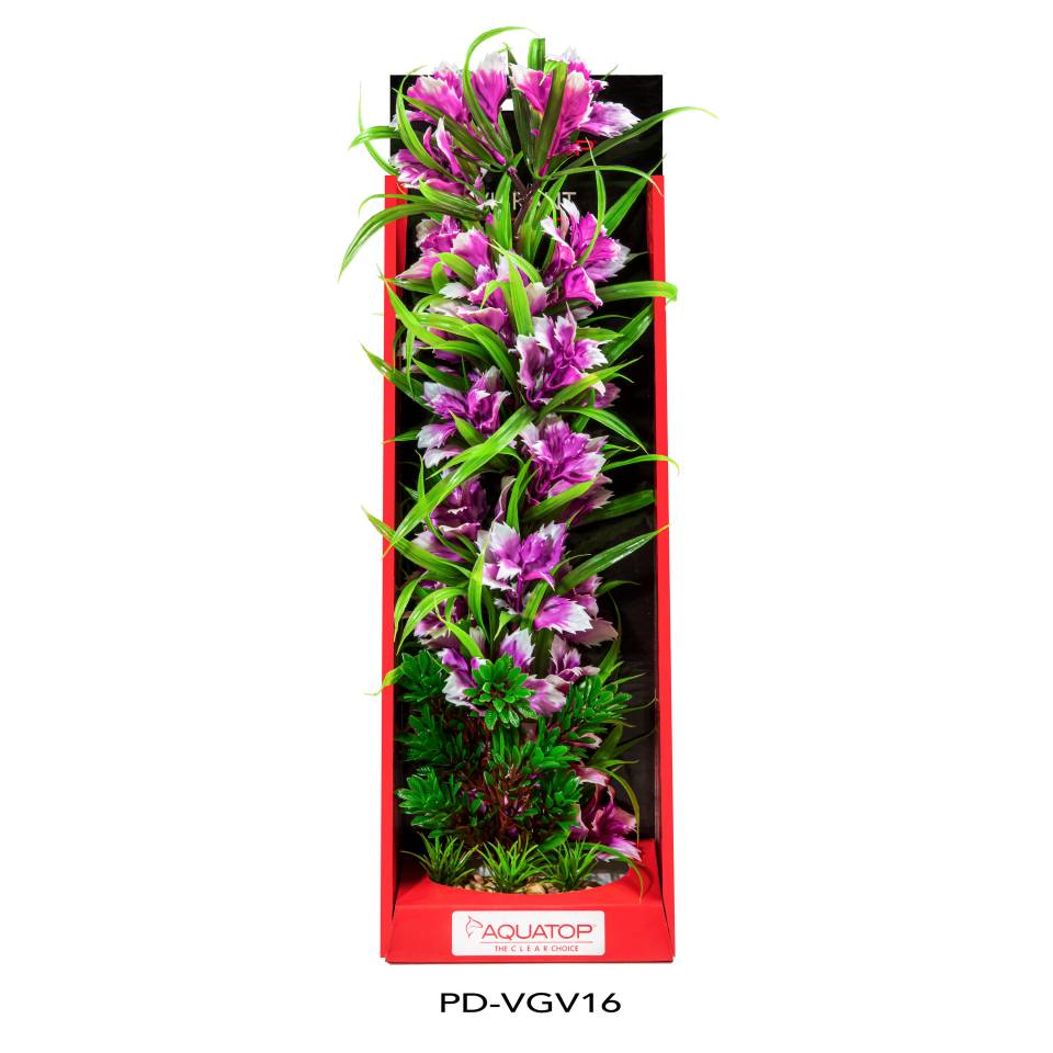 Vibrant Garden Violet Plant