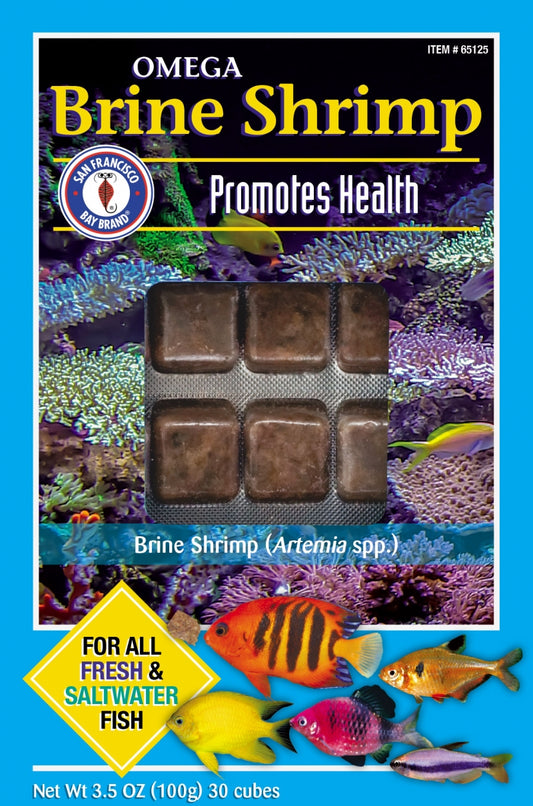 Omega-3 Brine Shrimp