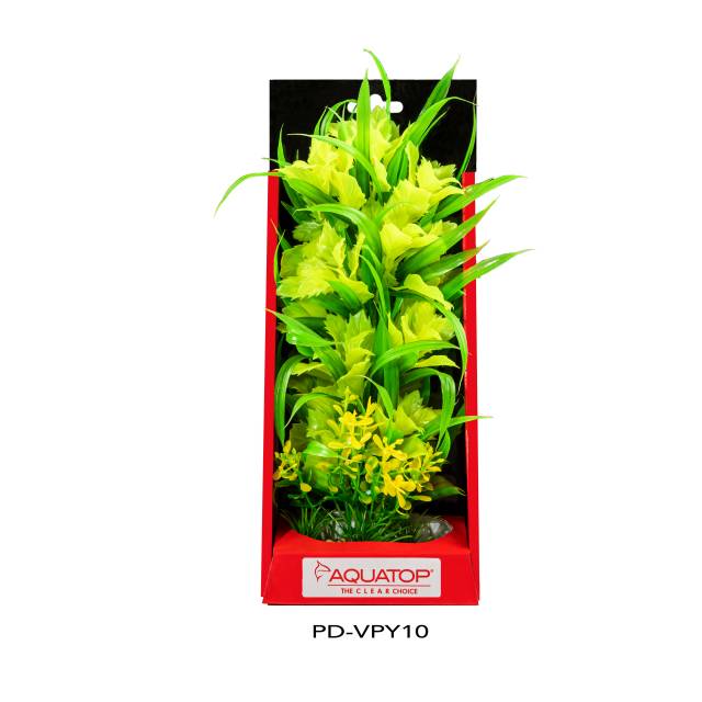 Vibrant Passion Yellow Plant
