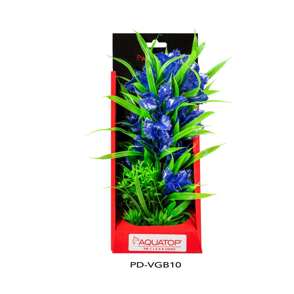 Vibrant Garden Blue Plant