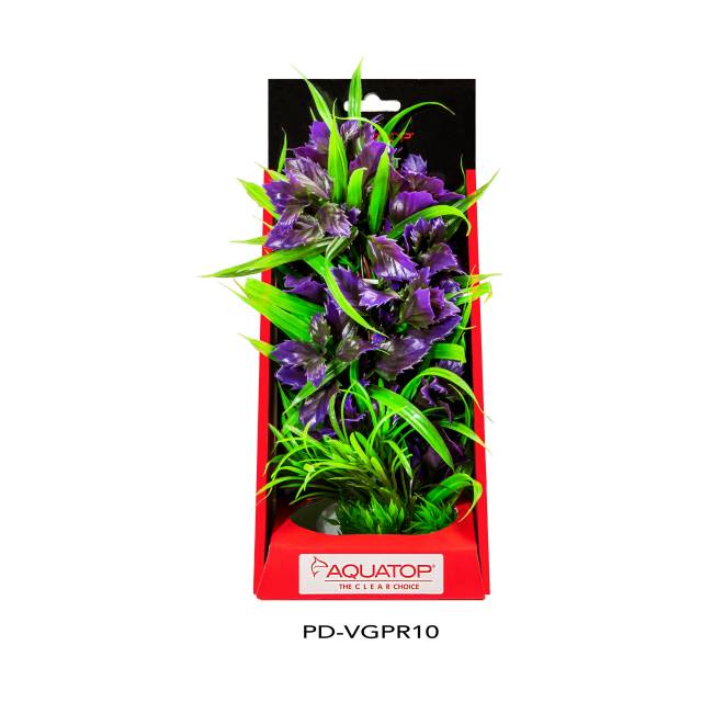 Vibrant Garden Purple Plant