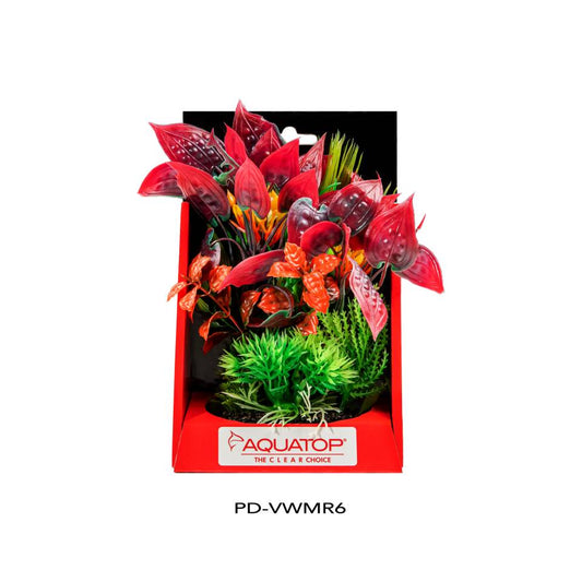 Vibrant Wild Mixed Red Plant