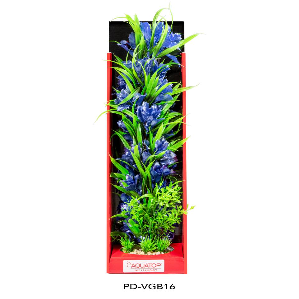 Vibrant Garden Blue Plant