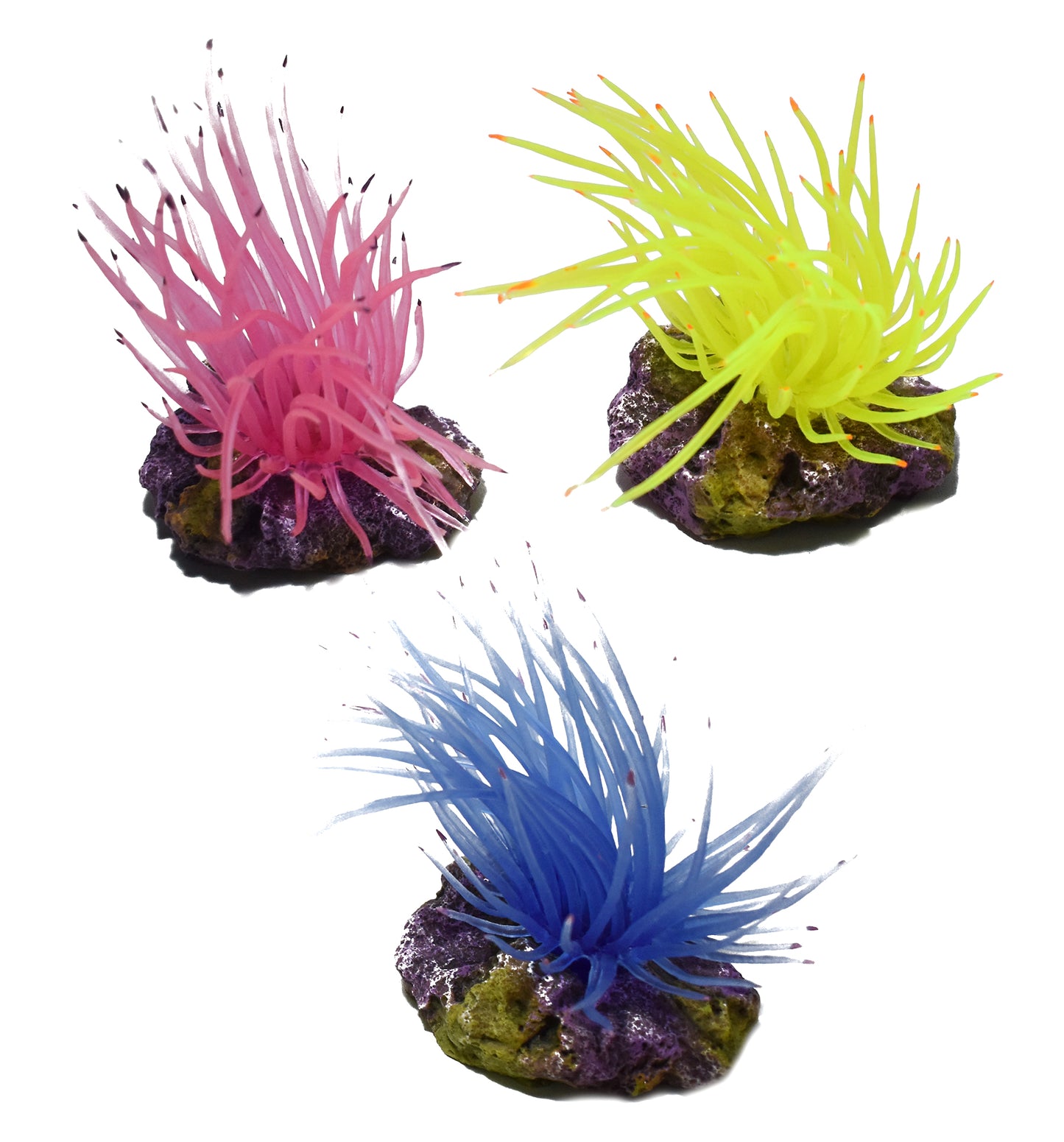 3.1" Anemone on Rock Resin Ornament - Map Price $8.99