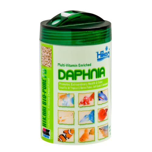 FD DAPHNIA