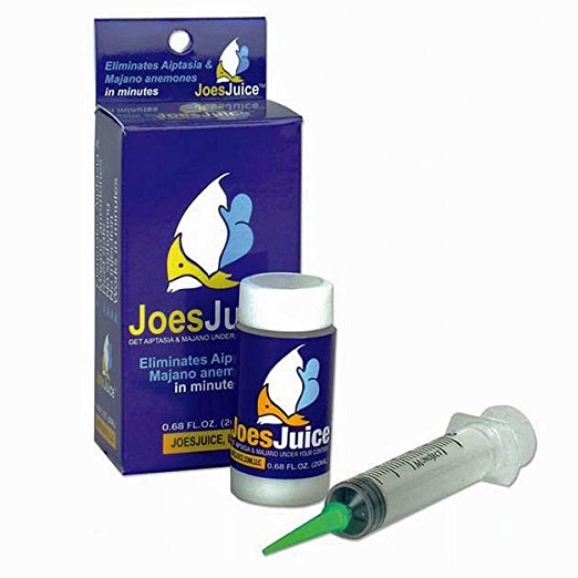 Joe's Juice (each)
