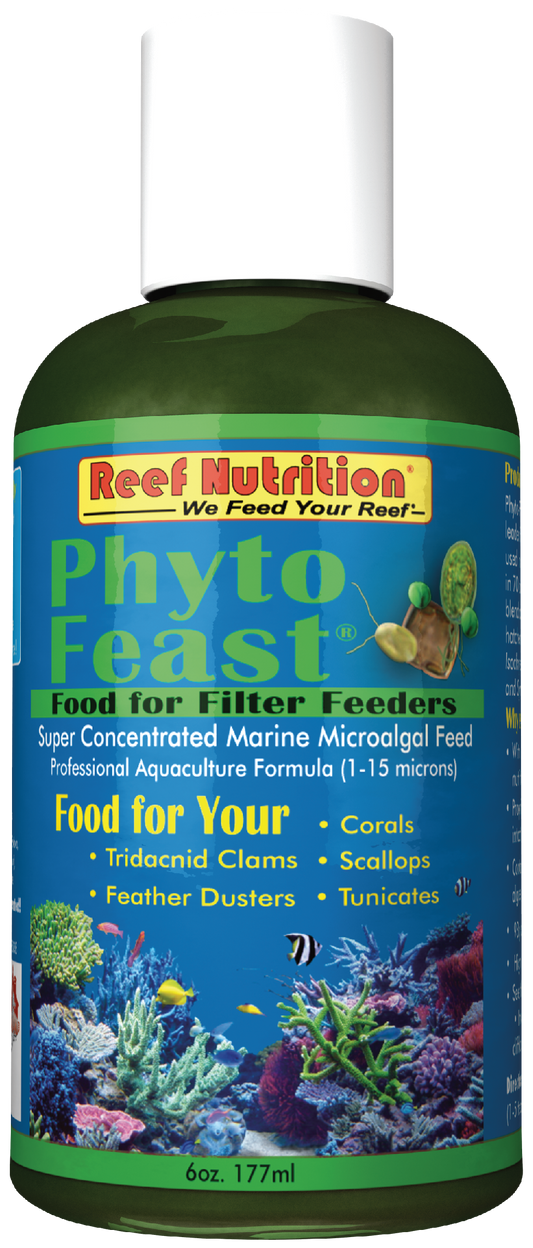 Phyto Feast Concentrate