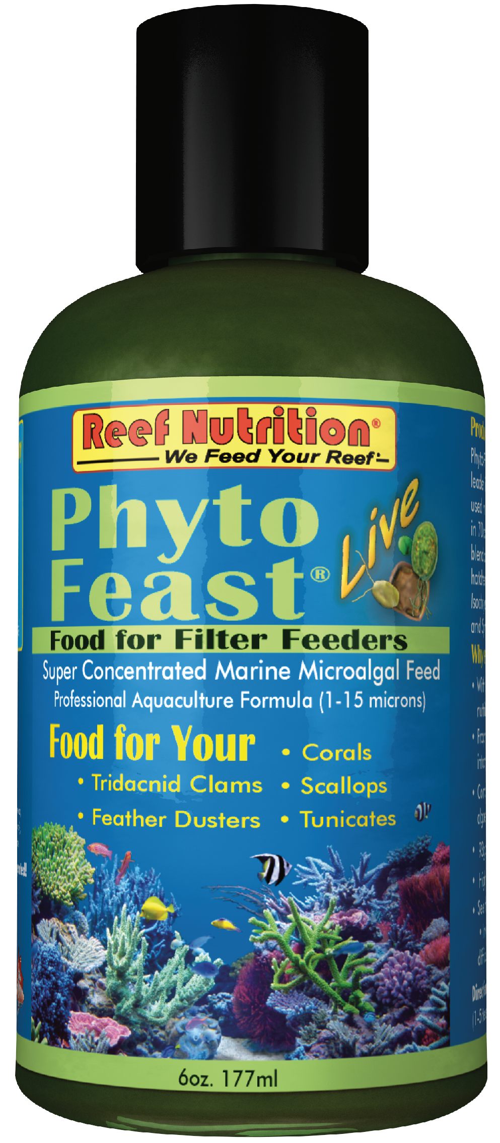 Phyto Feast Live