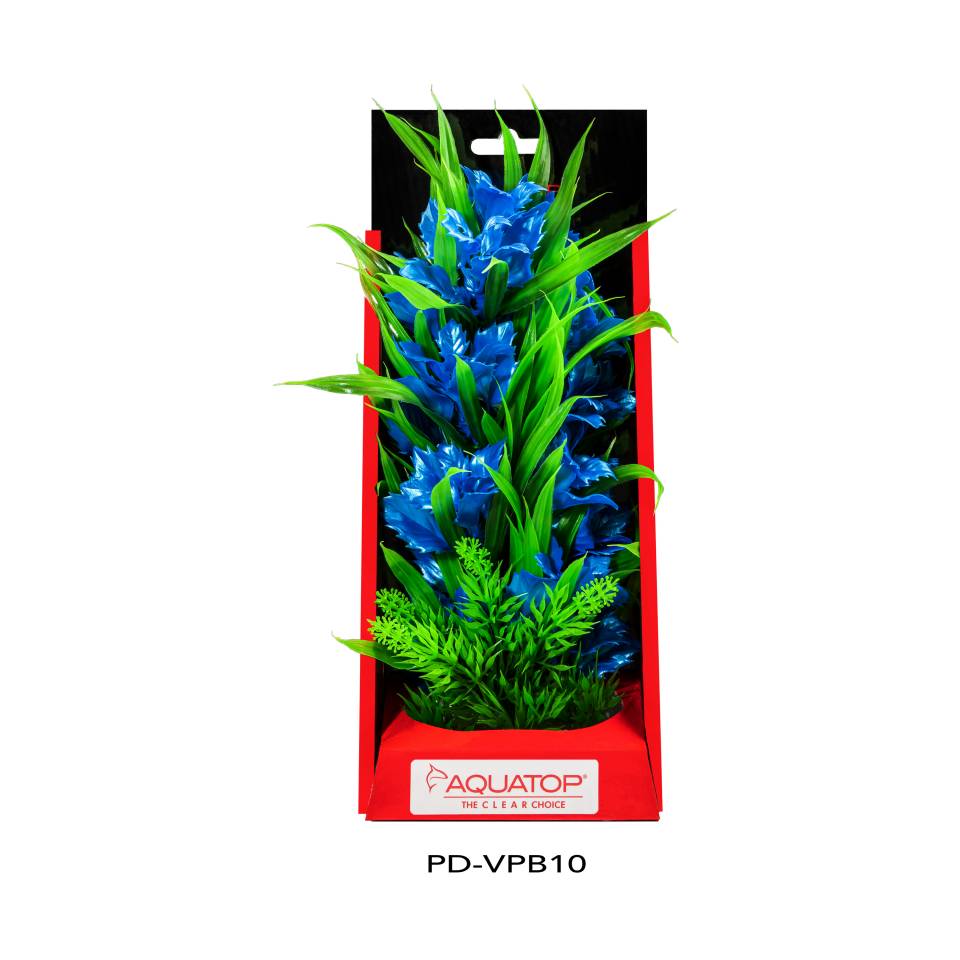 Vibrant Passion Blue Plant