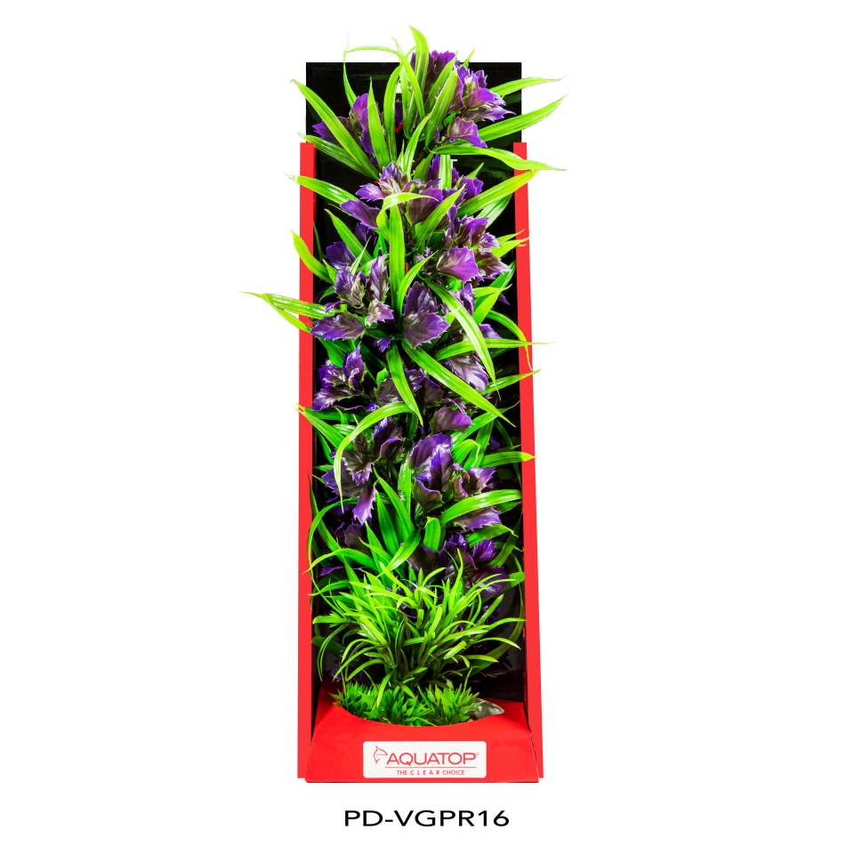 Vibrant Garden Purple Plant