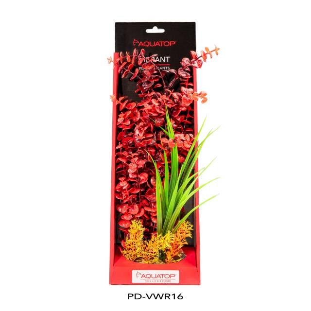 Vibrant Wild Red Plant