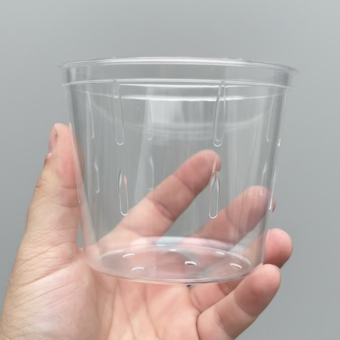 Fish Cups w Lid