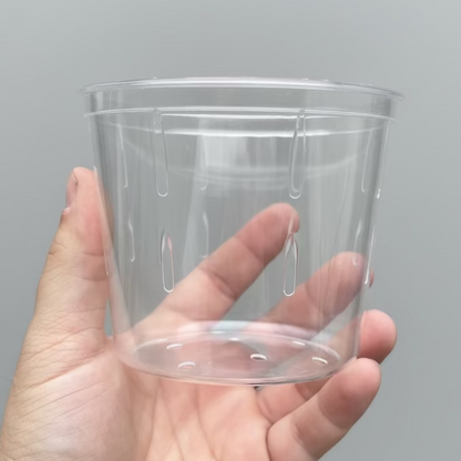 Fish Cups w Lid