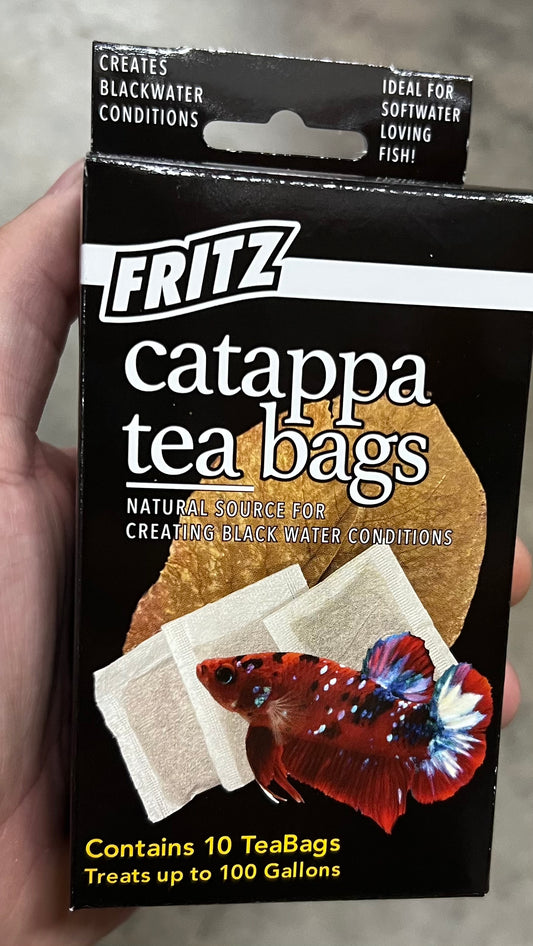 Catappa Tea Bags