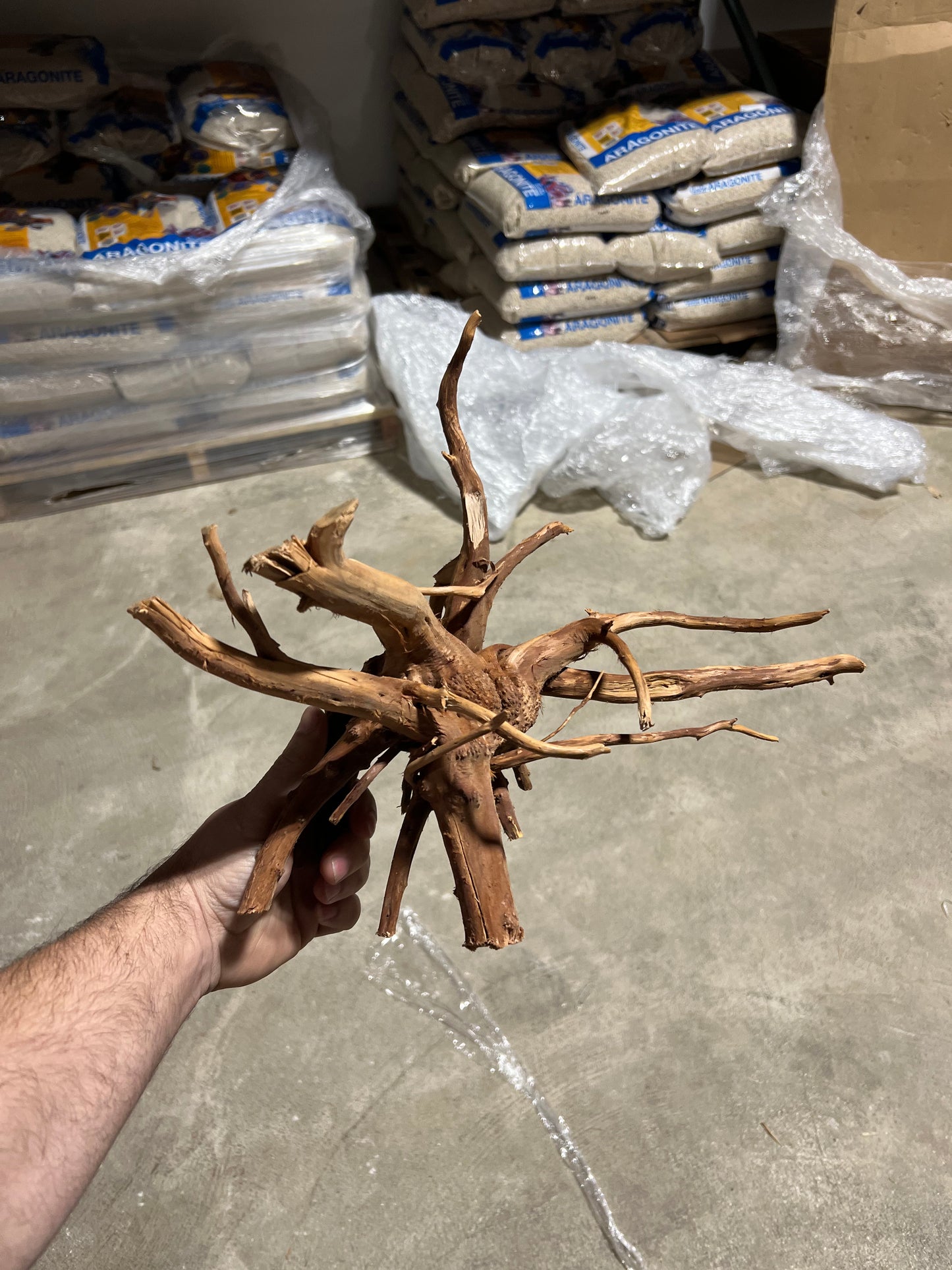 Driftwood - Carolina Spider Wood