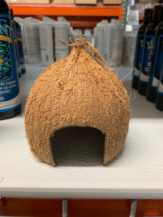 Accessories - Hut Natural Coconut Lg