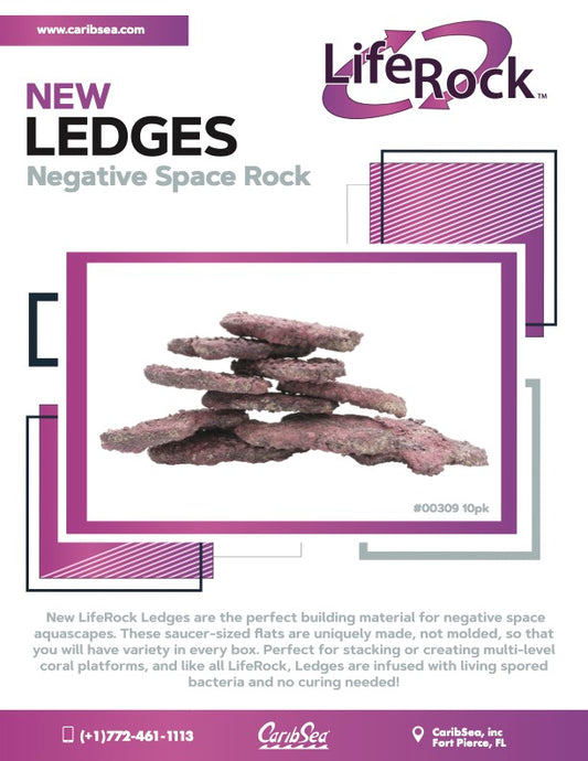 LifeRock Ledges