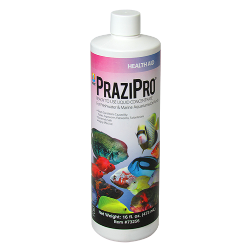 PraziPro® Parasite Treatment